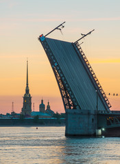 Fototapeta na wymiar Palace Bridge and Peter and Paul Cathedral. The White Nights in