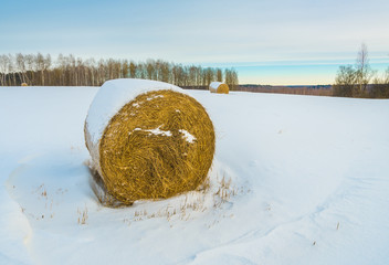 Straw roll in a field in winter