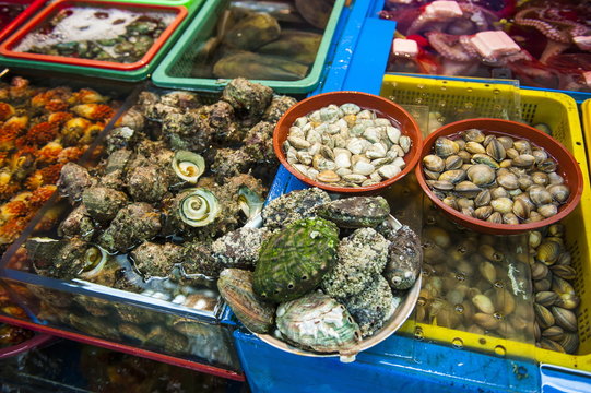The modern fish market in Busan, South Korea
