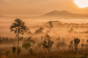 Beautiful sunset and Foggy clouds in forest at Thung Salaeng Lua