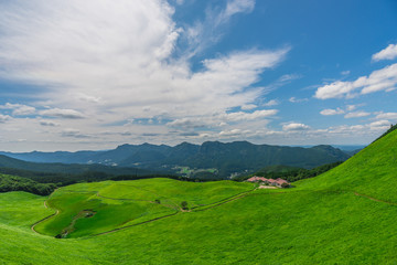 Fototapeta na wymiar Greengrass at Soni plateau,Nara Prefecture ,Japan
