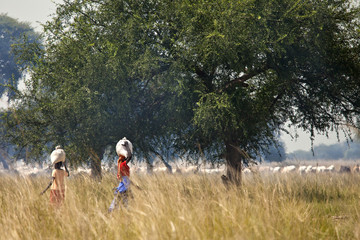 Naklejka premium Women carrying loads in South Sudan