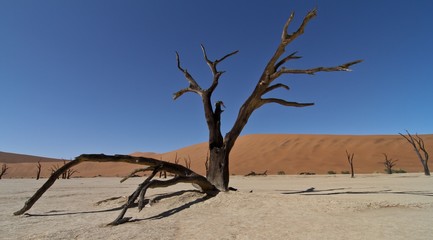 Sossusvlei in Namibia