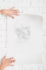 Pencil portrait in artist hands against wall. Painter hanging sketch of human profile on white bricks side of workshop. Art, creativity, performance, exhibition, craft concept