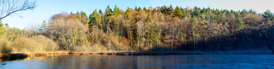 Zugefrohrener Teich im Wald