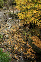 Autumn landscape on Corsica Island, France