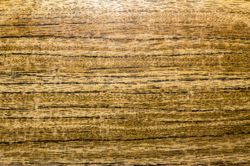 The texture of the tree, horizontal stripes, close up