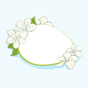 Oval frame with plumeria flowers