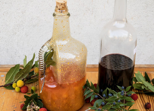 Lik&ouml;rherstellung von Erdbeerbaumfr&uuml;chten und Myrtenbeeren 