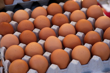 uova nel contenitore