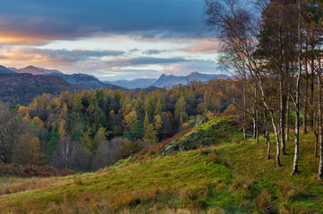 Naklejka premium View of Langdale Pikes from Tarn Hows in Cumbria, UK