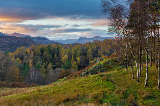 View of Langdale Pikes from Tarn Hows in Cumbria, UK