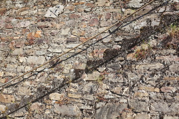 Steintreppe in einem Weinberg