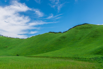 Greengrass at Soni plateau,Nara Prefecture ,Japan