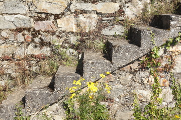 Steintreppe in einem Weinberg