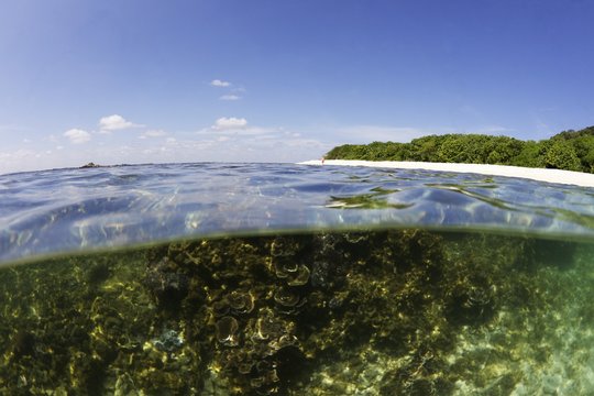 Half underwater split view of Coral Beach on Pigeon Island National Park, Trincomalee, Sri Lanka