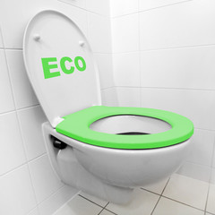Toilet bowl with green seat in a modern bathroom. Homemade production of biomass and biogas....