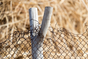 wooden stick on the fence