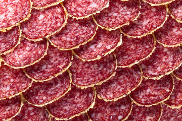 Salami sausage slices
