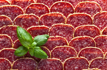 Salami sausage slices