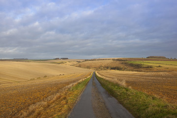 autumn farming landscape