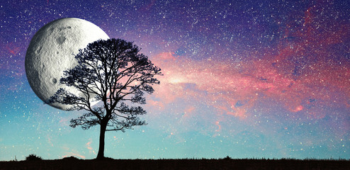 paesaggio con luna, via lattea e albero