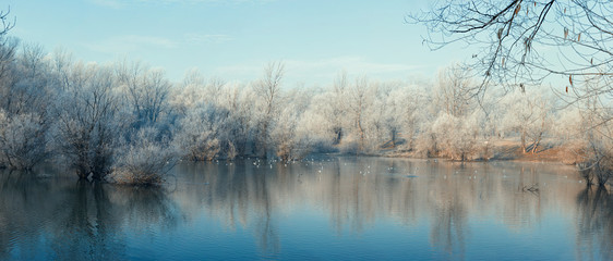 Frost covered trees by the lake on a bright sunny day, winter scene