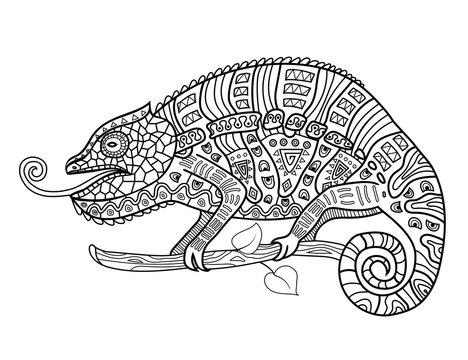Coloring anti stress for adults. Chameleon.