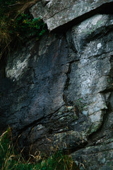 texture of old wet rock