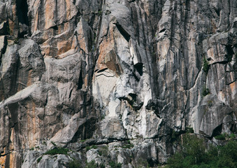 texture of old wet rock