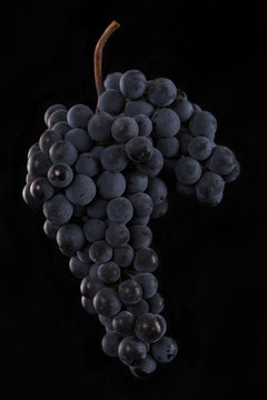 Grapes with black background