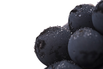 Grapes with white background