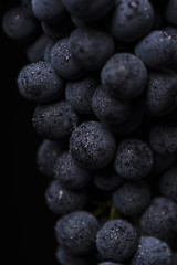 Grapes with black background