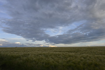 Landschaft mit Wiese, blauem Himmel und Wolken