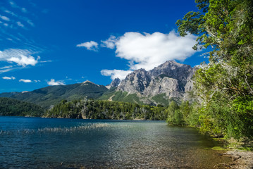 Greenery in Bariloche