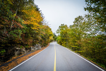 Early autumn color along the road to Grandfather Mountain, North