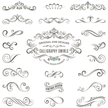 Vector calligraphy swirls, swashes, ornate motifs and scrolls.
