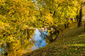 Fototapeta na wymiar Autumn park at the channel in Riga