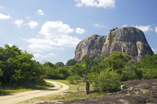 Elephant Rock from forest track, Yala National Park, Sri Lanka