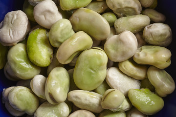 poached fava beans
