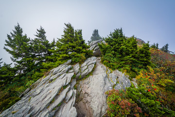Obraz premium Rocky outcrop and fog, at Grandfather Mountain, North Carolina.