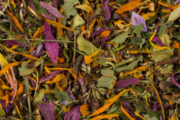 Dried herbal tea leaves