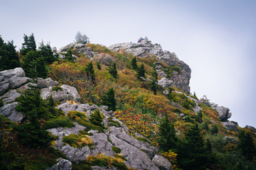 Rocky summit in fog, at Grandfather Mountain, North Carolina.