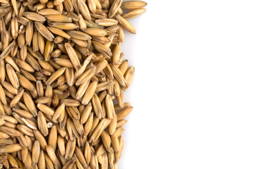 natural oat grains background, closeup