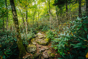 The Black Rock Nature Trail, at Grandfather Mountain, North Caro
