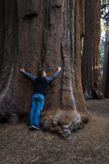 hugging a giant sequoia