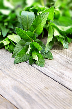 peppermint on wooden table