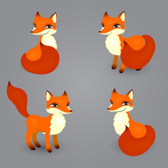 fox isolated diferent poses