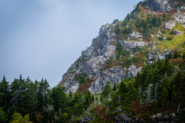 Fototapeta premium Trees and rocky slopes in fog, at Grandfather Mountain, North Ca