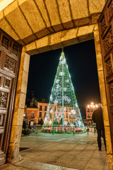 Outdoors Christmas tree made of lights as seen through old door © Lux Blue